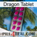 Dragon Tablet 09